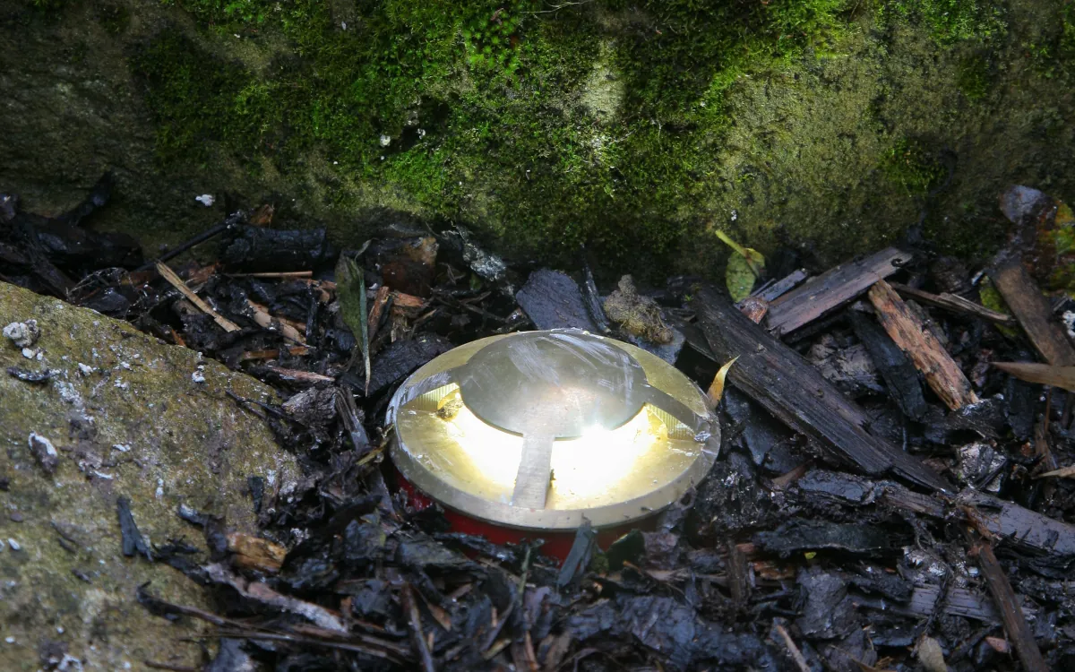 Beschermingsklassen van Buitenverlichting: Wat ze betekenen en waarom ze belangrijk zijn voor buitenverlichting?